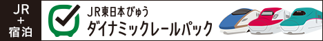 JR東日本びゅうダイナミックレールパック